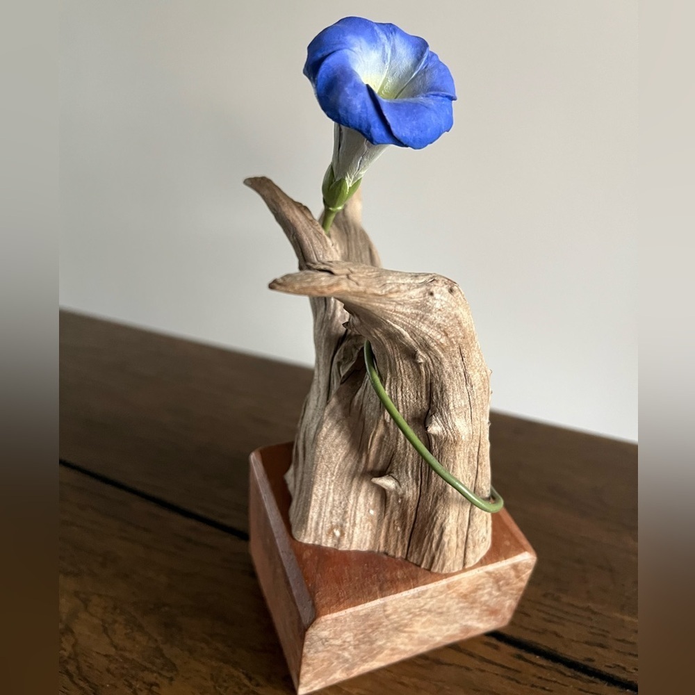 Blue Morning Glory Carved Flower Carving On Drift Wood Signed Kent Burlwood
